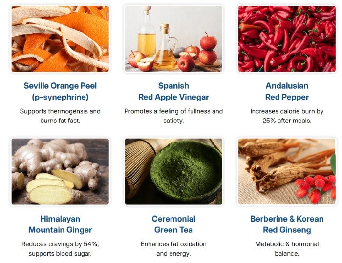 CitrusBurn natural ingredients